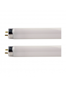 TUBO FLOURESCENTE 54W T5 48